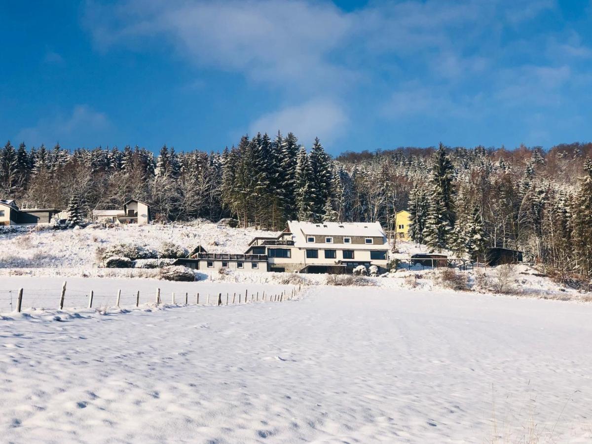 Haus Hubertus Willingen (Upland) Exterior foto