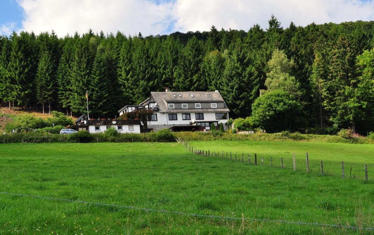 Haus Hubertus Willingen (Upland) Exterior foto