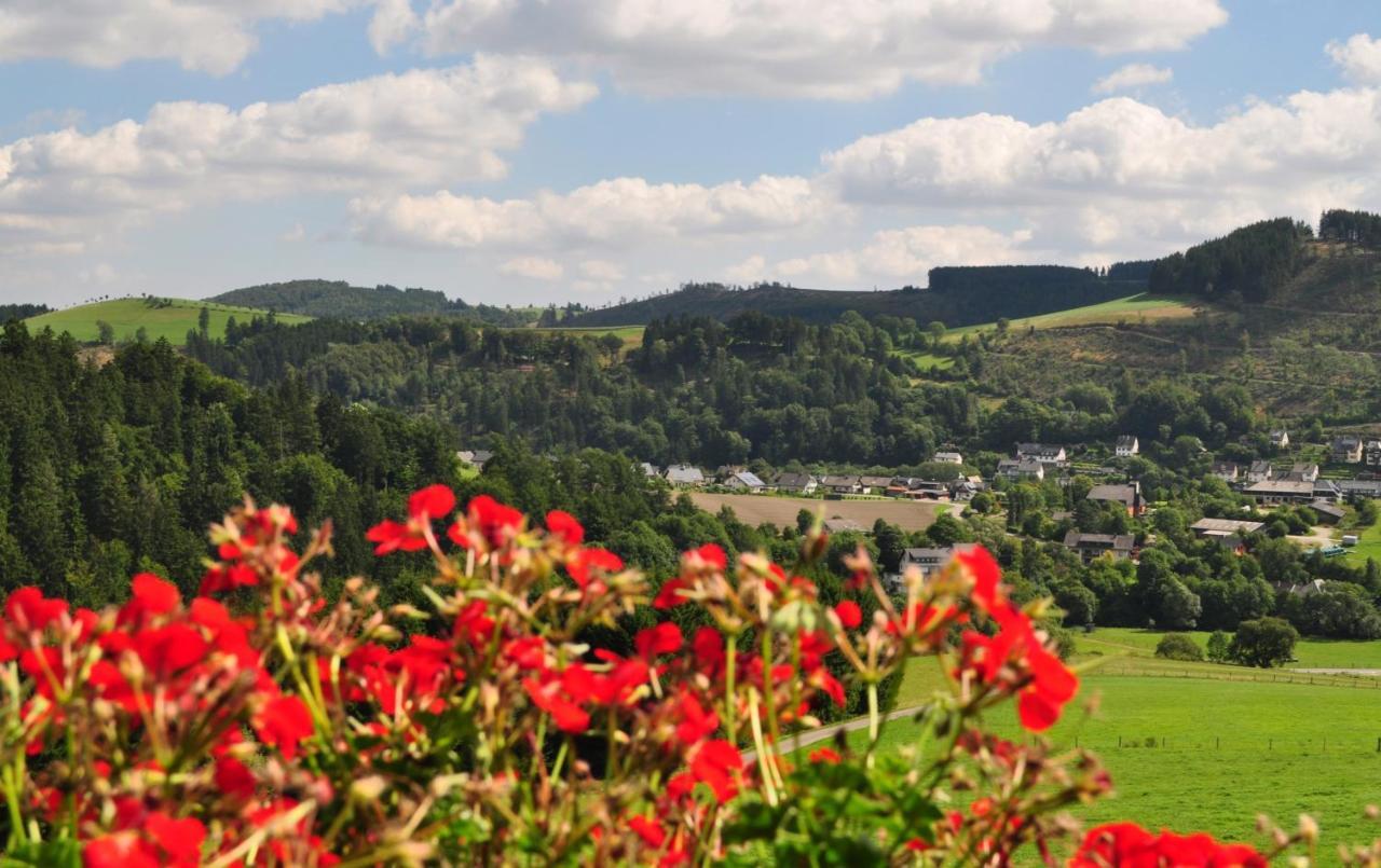 Haus Hubertus Willingen (Upland) Exterior foto